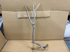 ANAFlCiIy؁zVR嗬؁@10Ԑ_˓X݌ɕi