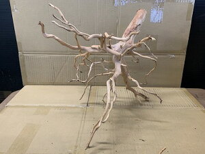 ANAFlCiIy؁zu`Ebh@LTCY@13Ԑ_˓X݌ɕi