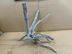 ANAFlCiIy؁zVR嗬؁@11Ԑ_˓X݌ɕi