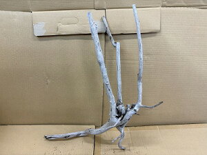 ANAFlCiIy؁zVR嗬؁@12Ԑ_˓X݌ɕi