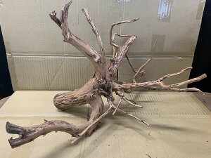 ANAFlCiIy؁zu`Ebh@LTCY@15Ԑ_˓X݌ɕi