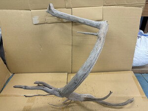 ANAFlCiIy؁zVR嗬؁@13Ԑ_˓X݌ɕi