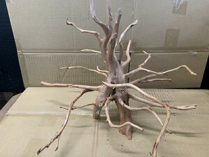 ANAFlCiIy؁zu`Ebh@LTCY@16Ԑ_˓X݌ɕi