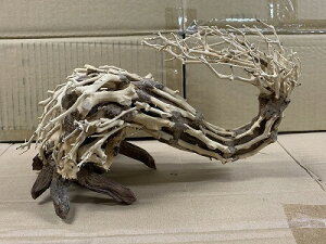 ANAFlCiIy؁ziBONSAI@@LTCY@ς藬ؐ_˓X݌ɕi