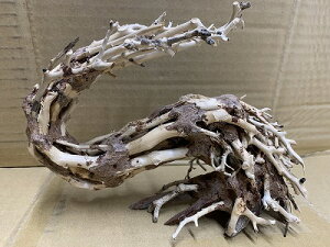 ANAFlCiIy؁ziBONSAI@@ς藬ؐ_˓X݌ɕi