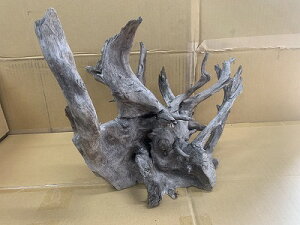 ANAFlCiIy؁zubNz[@1Ԑ_˓X݌ɕi