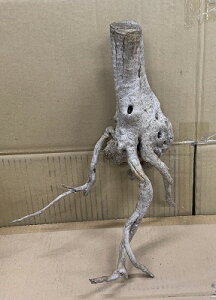 アクアF人気商品!【流木】ホワイトブランチウッド 4番神戸店在庫品