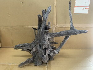 ANAFlCiIy؁zubNz[@2Ԑ_˓X݌ɕi