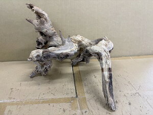 ANAFlCiIy؁zVR؁@2Ԑ_˓X݌ɕi