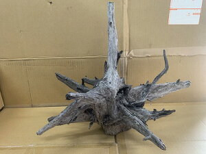 ANAFlCiIy؁zubNz[@3Ԑ_˓X݌ɕi