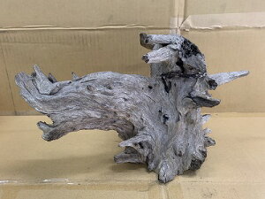 ANAFlCiIy؁zubNz[@5Ԑ_˓X݌ɕi