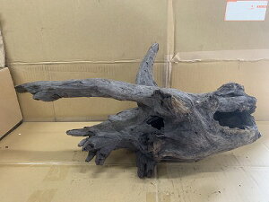 ANAFlCiIy؁zz[Ebh@10Ԑ_˓X݌ɕi