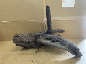 ANAFlCiIy؁zz[Ebh@16Ԑ_˓X݌ɕi