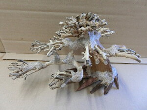 ANAFlCiIy؁ziBONSAI@ܗt@ς藬ؐ_˓X݌ɕi