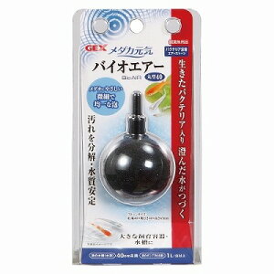 yGEXz_JC@oCIGA[ی^@40Mы@pi