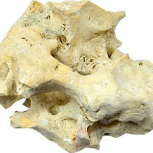 yVRn΁EVRz΁zRTS΁i܂񂲂j10kg