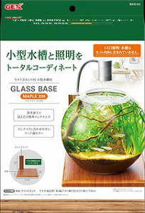 yGEXz CeAOXx[XF[v200RpNgpؖڐpv[g