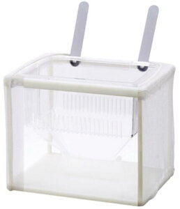 Mы@piRguL@uP[X@YɐBEulbgL