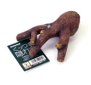 yANZT[zB؁@STCỶBƂɁ@_˓X݌