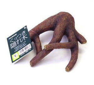 yANZT[zB؁@MTCỶBƂɁ@_˓X݌