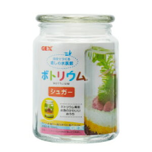 yGEXz CeA{gE{g VK[{ĝ