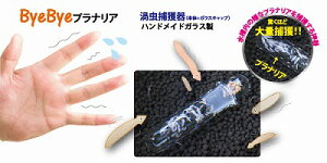 yAZOOzϏ܋p@u[fBOpiAY[@KXviA퐅ݒu^