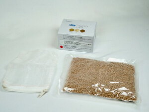 yϏ܋pz{NXWp _ z܁ᐅ Mы Ϗ܋ 