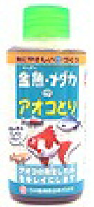 Mы@piE_J̃AIRƂyj`hEz