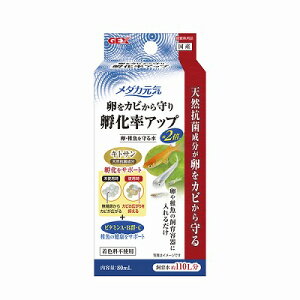 yGEXz_JC @@t鐅@80mlMы@pi