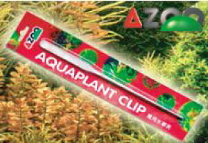 ANAFZ[iIyAZOOzAY[@psZbgʌI