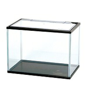 yKOTOBUKIzMы@piKC|gv@M KX