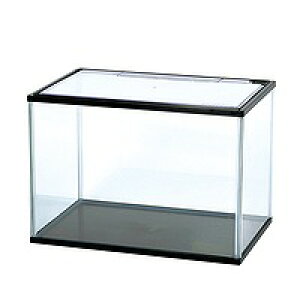 yKOTOBUKIzMы@piKC|gv@L KX