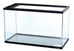 yKOTOBUKIzMы@piKC|600S KX