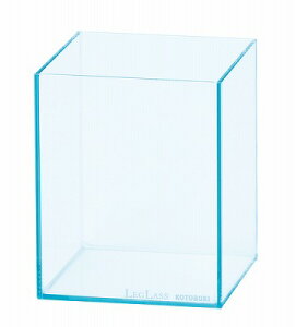 【コトブキ】コトブキ工芸レグラスF-90S/B フィルターセットPF-BIGW900×D250×H300(60L) ガラス水槽