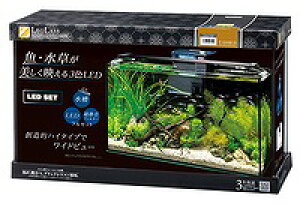 yKOTOBUKIzMы@piOXF-600SH/B LEDZbgZ40