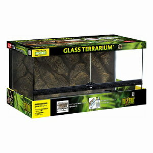 y঒ގpizOXeE9045 PT2613_˓X݌