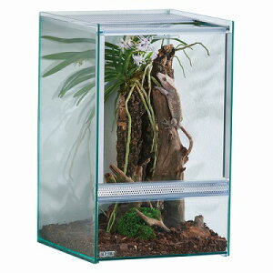 y঒ގpizveA NAlI 250HighGL]eWFbNX_˓X݌