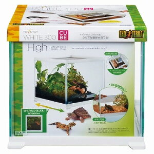 y঒ގpizveAzCg300CUBE HighGL]eWFbNX_˓X݌