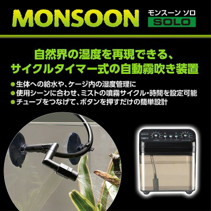 楽天市場】新商品！【爬虫類飼育用品】モンスーン ソロ テラリウム 