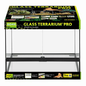 y঒ގpizOXeEPRO6045 PT4408_˓X݌