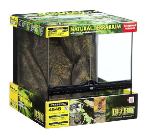 pՂ̈דy঒ގpizOXeE4545@PT2605_˓X݌