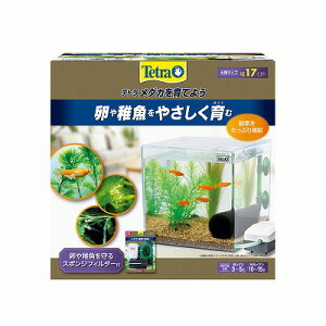 yegzeg _JĂ悤@PL-17KB