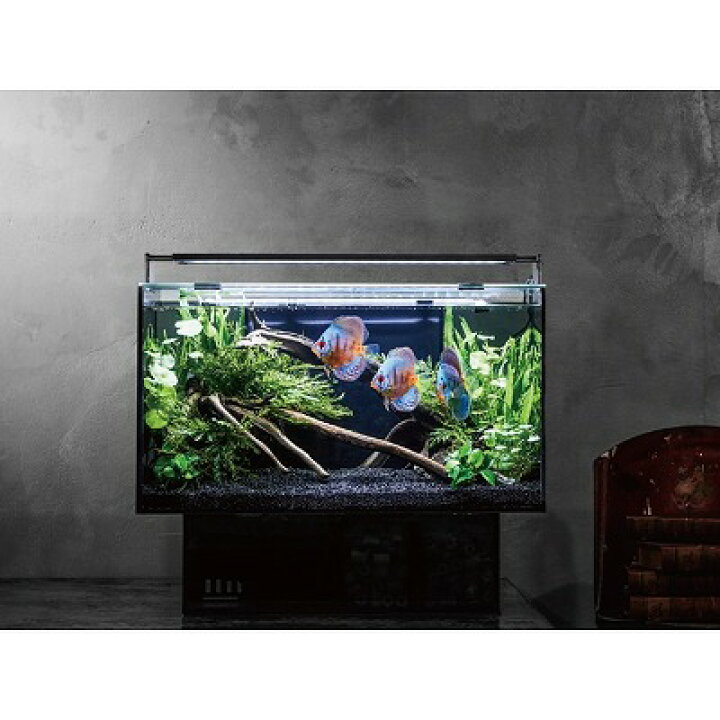 楽天市場】【GEX】グラステリア アグス OF-450大人気商品神戸店在庫 