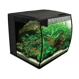 楽天市場 水槽 在庫処分 熱帯魚 アクアリウム ペット ペットグッズ の通販