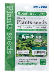 @vcV[h nCOSP.[W1g×3