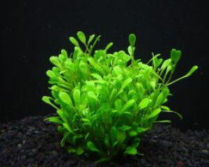 yzY@Ob\XeBO}@@3@_˓X݌ɗLsS̍Y