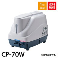 NIKKO ニッコー CP-70W 浄化槽ブロワー 浄化槽 エアーポンプ ブロワー ブロワ ポンプ 消耗品交換 整備品 …