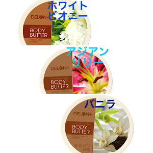 f {fB[o^[ nhN[ fB[X Y Iׂ 3Zbg  {fBN[  ێ  a j LOi ̓Mtg ̓ ސE ʉ {fB[