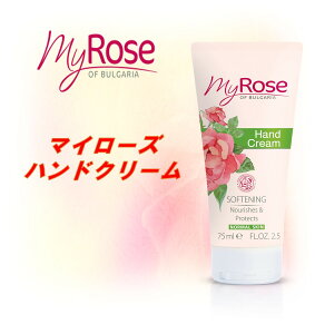 nhN[ 4{Zbg ̓ bsO ʗX  uKA[Y _}XN[Y 75ml fB[X Y r  ێ   a v[g j 
