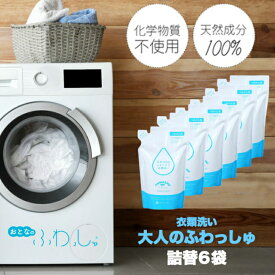 洗濯用洗剤　しぜんのめぐみすい　大人のふわっしゅ　詰替え用500ml×6袋【売れ筋】敏感肌用